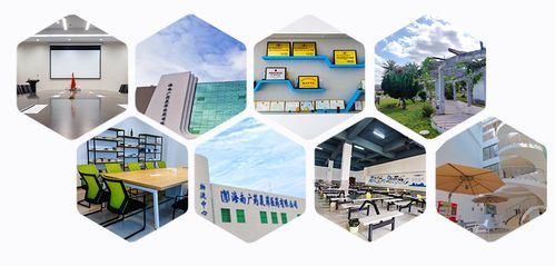 消博線報 醫藥黑科技、珍稀祖母綠與人工智能軟件齊聚，引領消費新浪潮